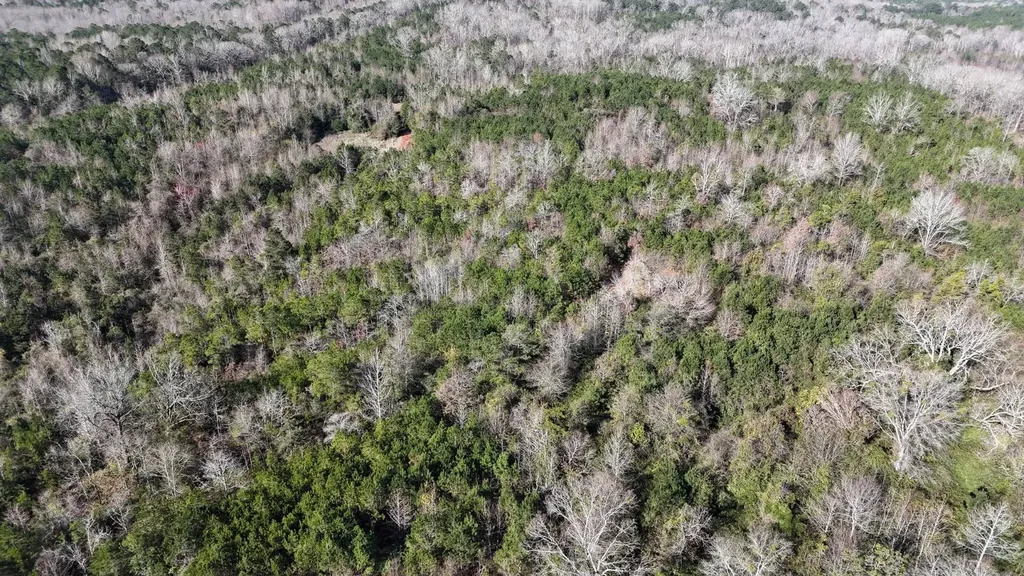 0-A Barrons Bridge Road Dadeville AL 36853