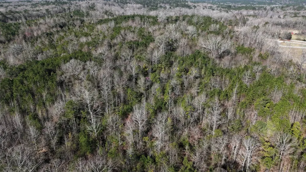 0-A Barrons Bridge Road Dadeville AL 36853