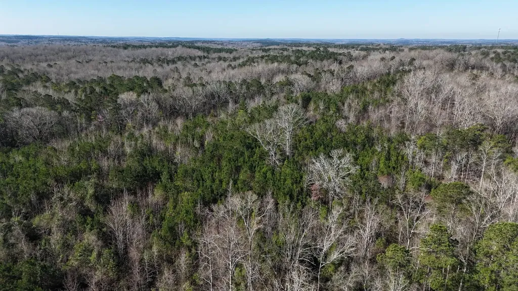 0-A Barrons Bridge Road Dadeville AL 36853