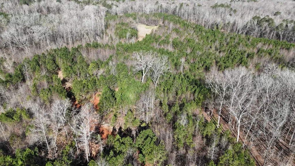 0-A Barrons Bridge Road Dadeville AL 36853