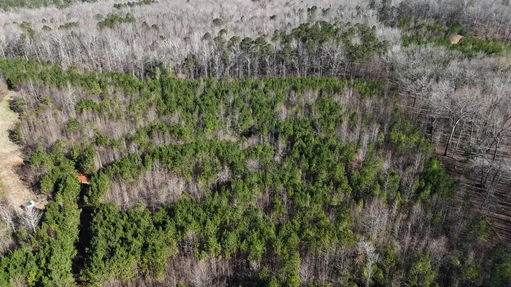 0-A Barrons Bridge Road Dadeville AL 36853