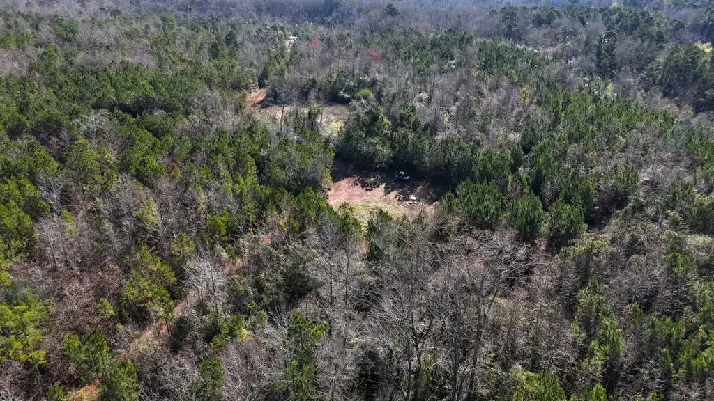 0-A Barrons Bridge Road Dadeville AL 36853