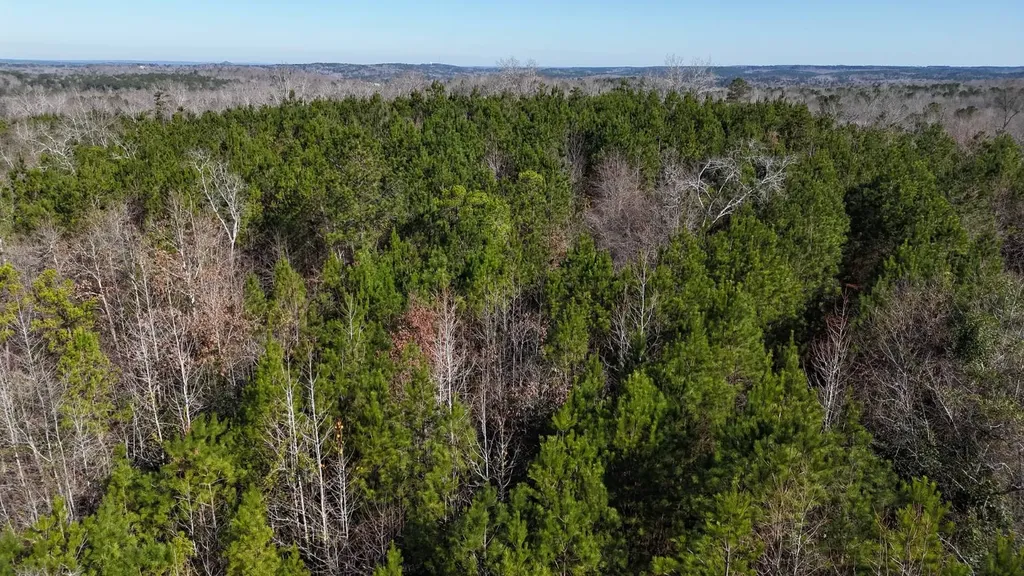 0-A Barrons Bridge Road Dadeville AL 36853