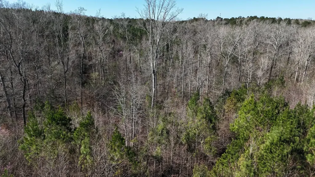 0-A Barrons Bridge Road Dadeville AL 36853