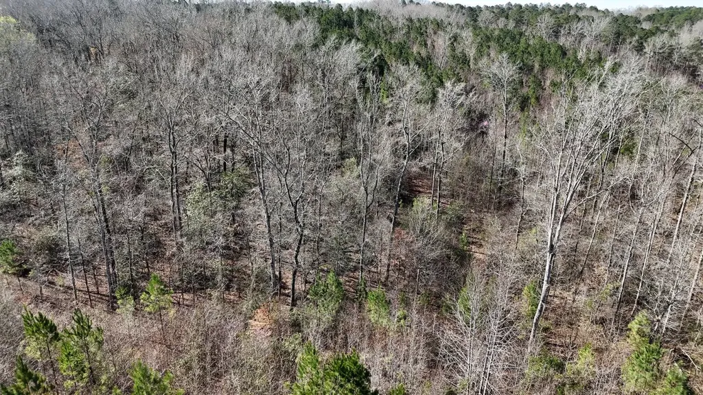 0-A Barrons Bridge Road Dadeville AL 36853