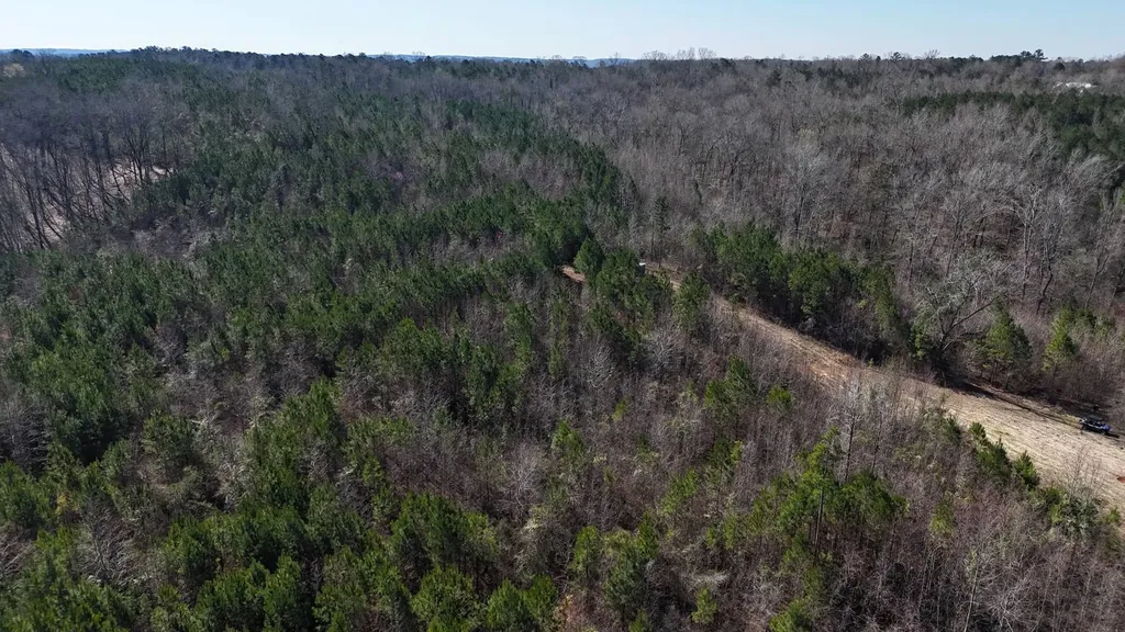 0-A Barrons Bridge Road Dadeville AL 36853