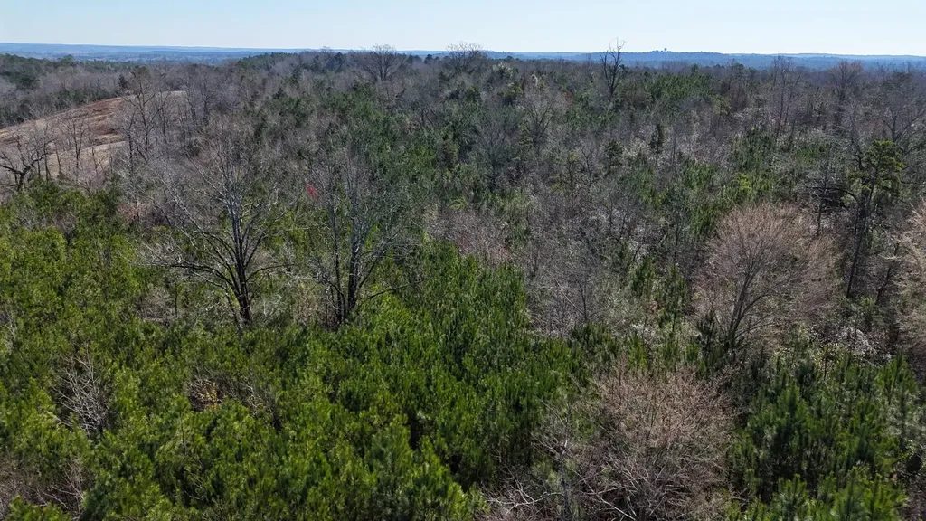 0-A Barrons Bridge Road Dadeville AL 36853