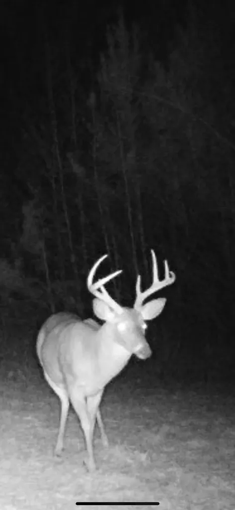 0-A Barrons Bridge Road Dadeville AL 36853