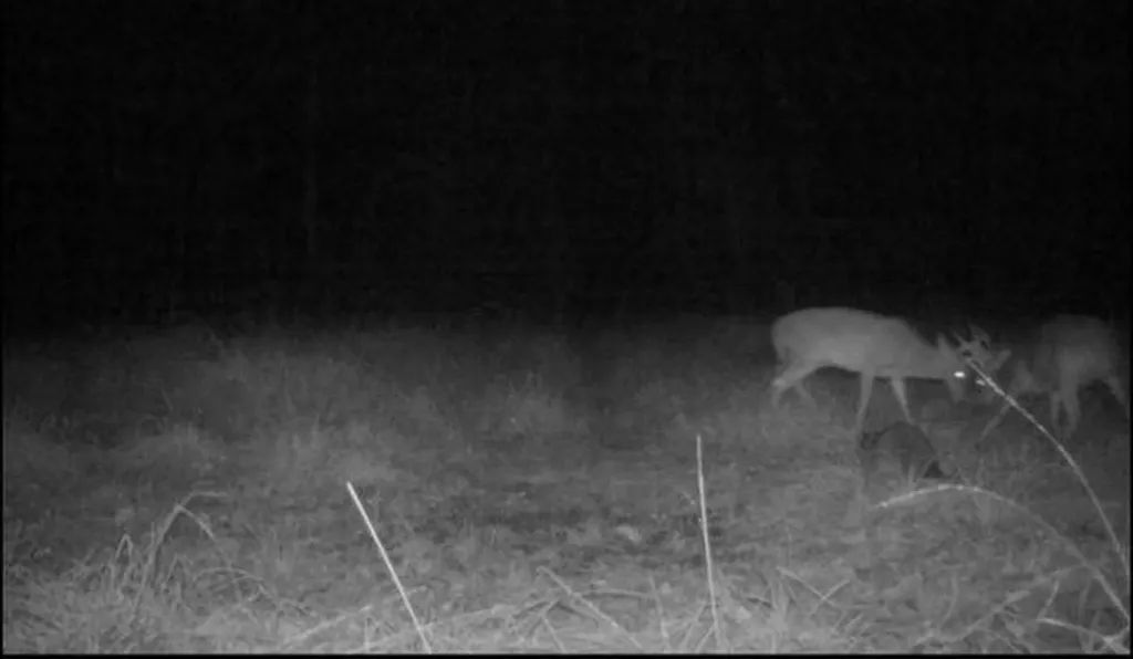 0-A Barrons Bridge Road Dadeville AL 36853