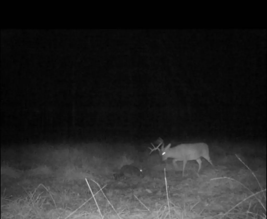 0-A Barrons Bridge Road Dadeville AL 36853