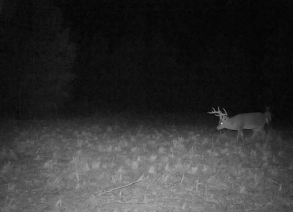 0-A Barrons Bridge Road Dadeville AL 36853