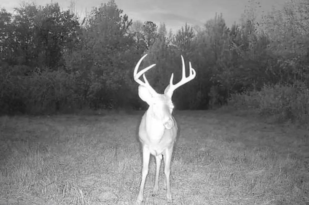 0-A Barrons Bridge Road Dadeville AL 36853