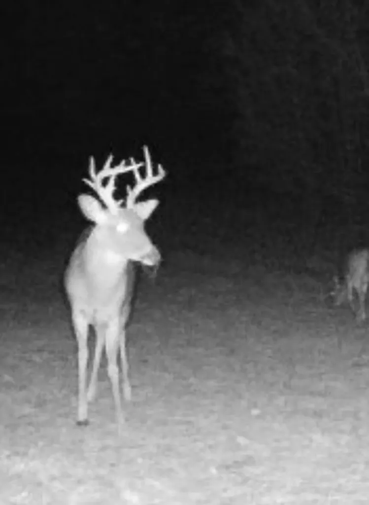 0-A Barrons Bridge Road Dadeville AL 36853