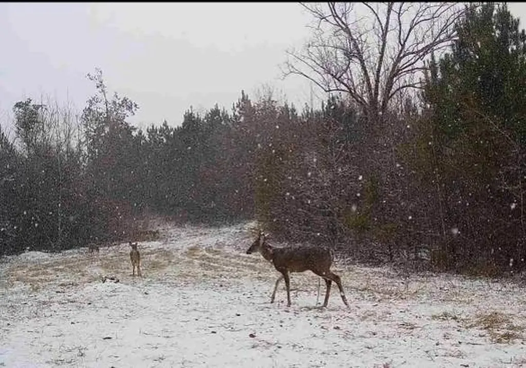 0-A Barrons Bridge Road Dadeville AL 36853