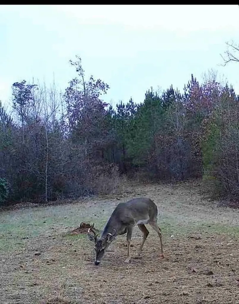 0-A Barrons Bridge Road Dadeville AL 36853