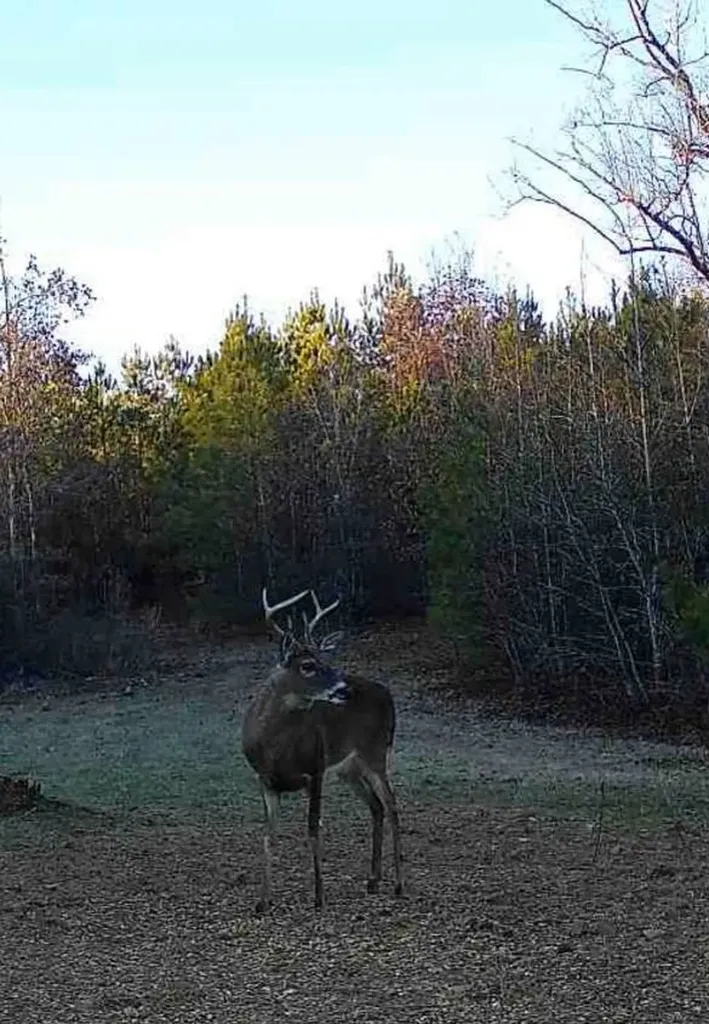 0-A Barrons Bridge Road Dadeville AL 36853