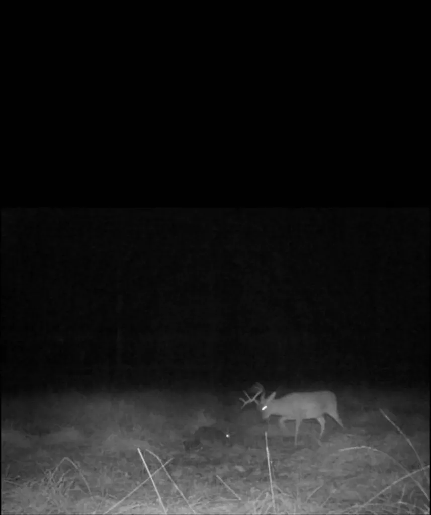 0-A Barrons Bridge Road Dadeville AL 36853