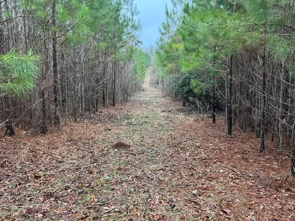 0-A Barrons Bridge Road Dadeville AL 36853