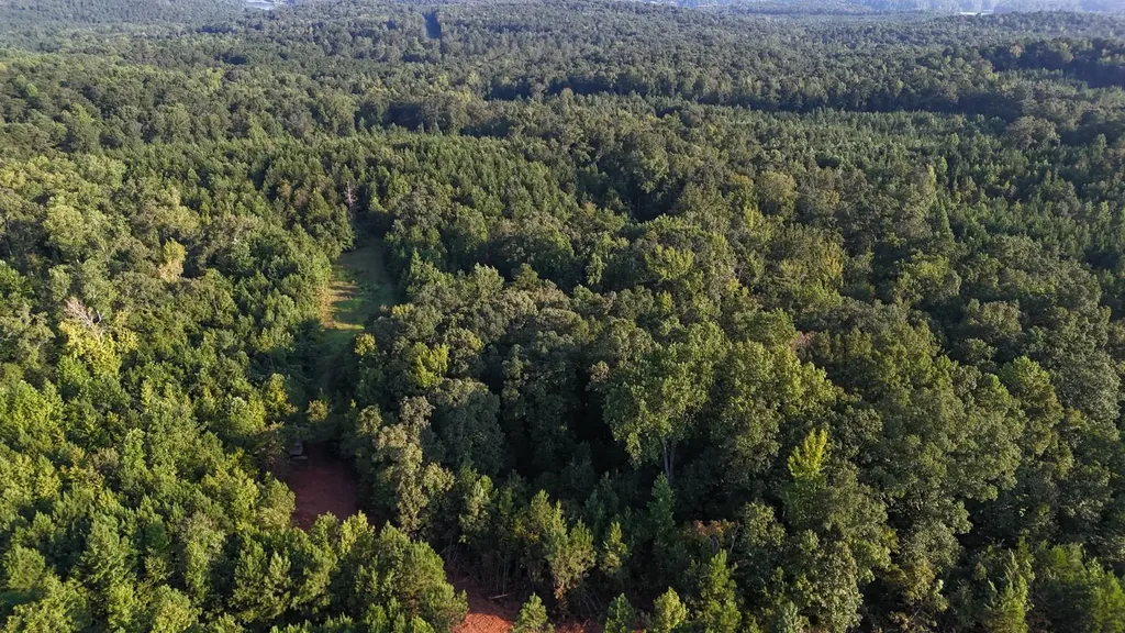 0-A Barrons Bridge Road Dadeville AL 36853