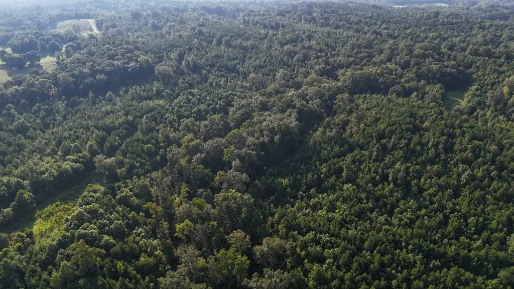 0-A Barrons Bridge Road Dadeville AL 36853