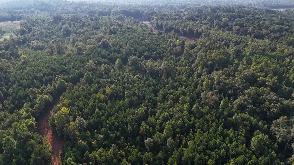 0-A Barrons Bridge Road Dadeville AL 36853