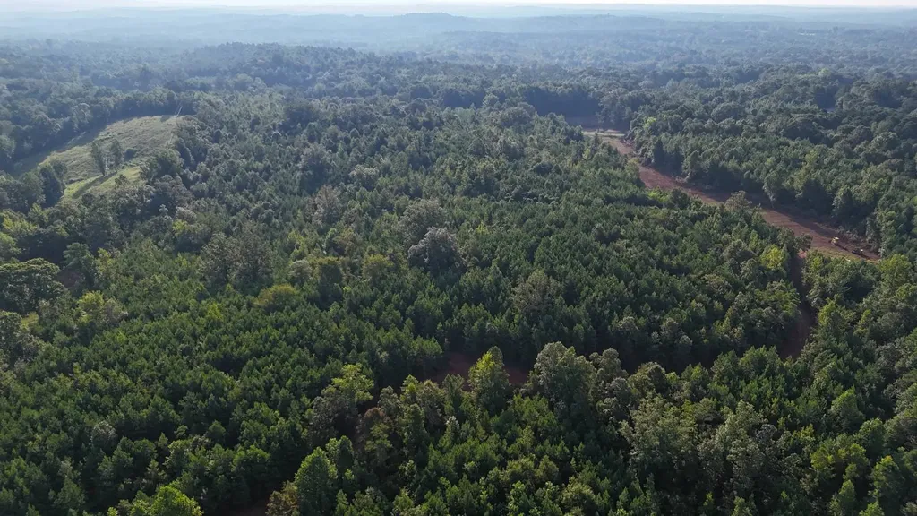 0-A Barrons Bridge Road Dadeville AL 36853