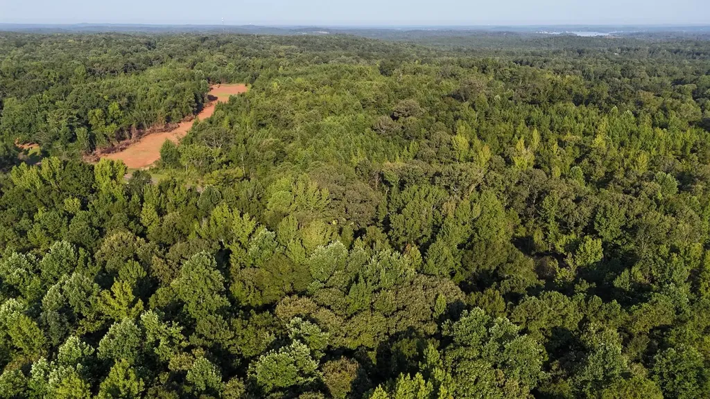 0-A Barrons Bridge Road Dadeville AL 36853