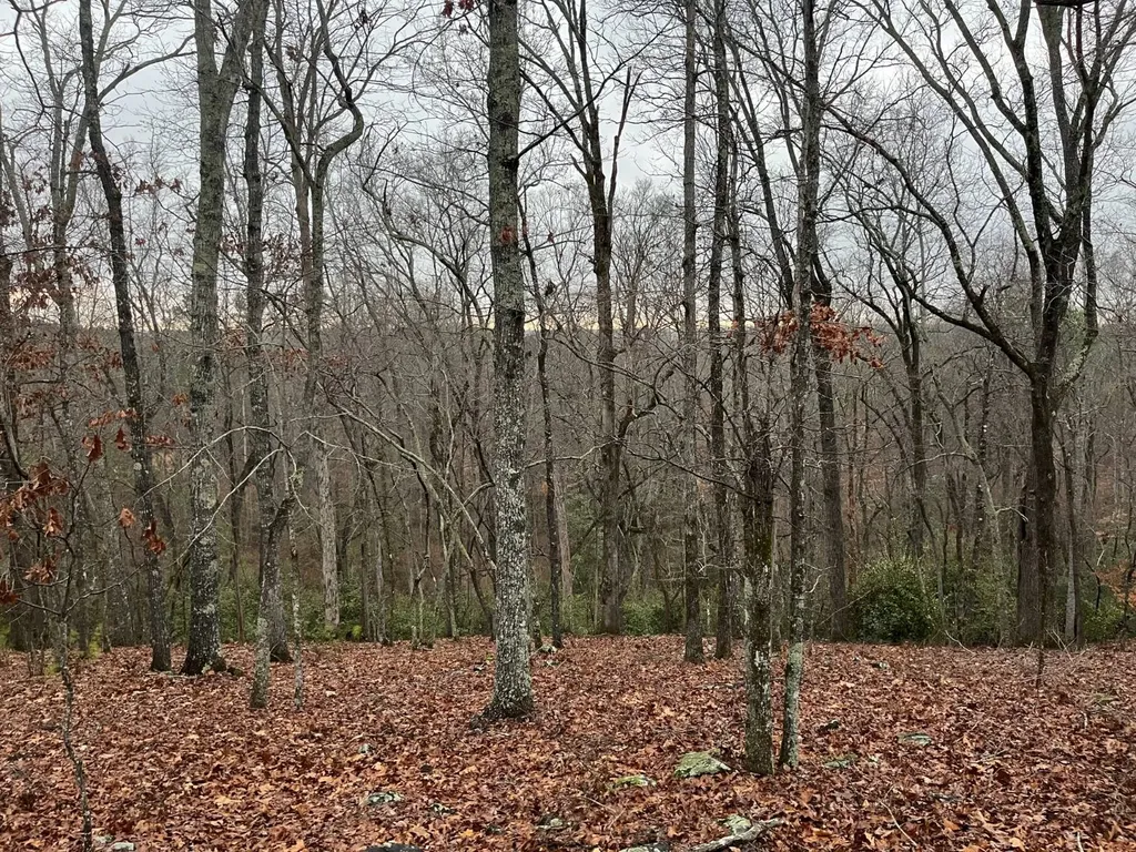 0-A Barrons Bridge Road Dadeville AL 36853