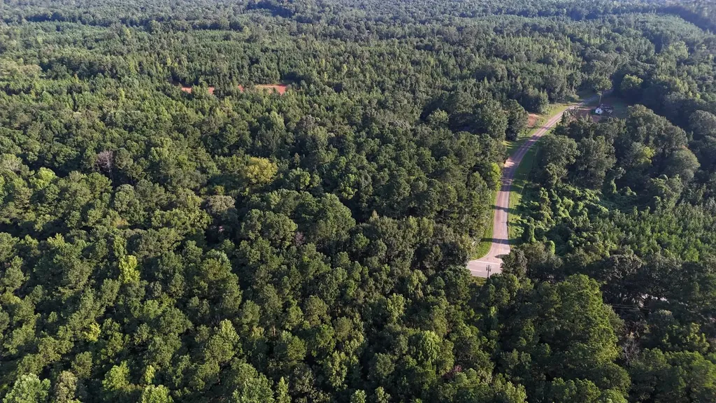 0-A Barrons Bridge Road Dadeville AL 36853