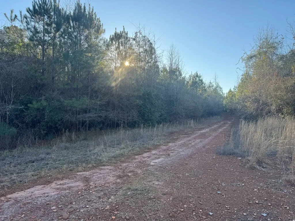 0-A Barrons Bridge Road Dadeville AL 36853