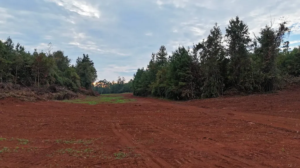 0-A Barrons Bridge Road Dadeville AL 36853