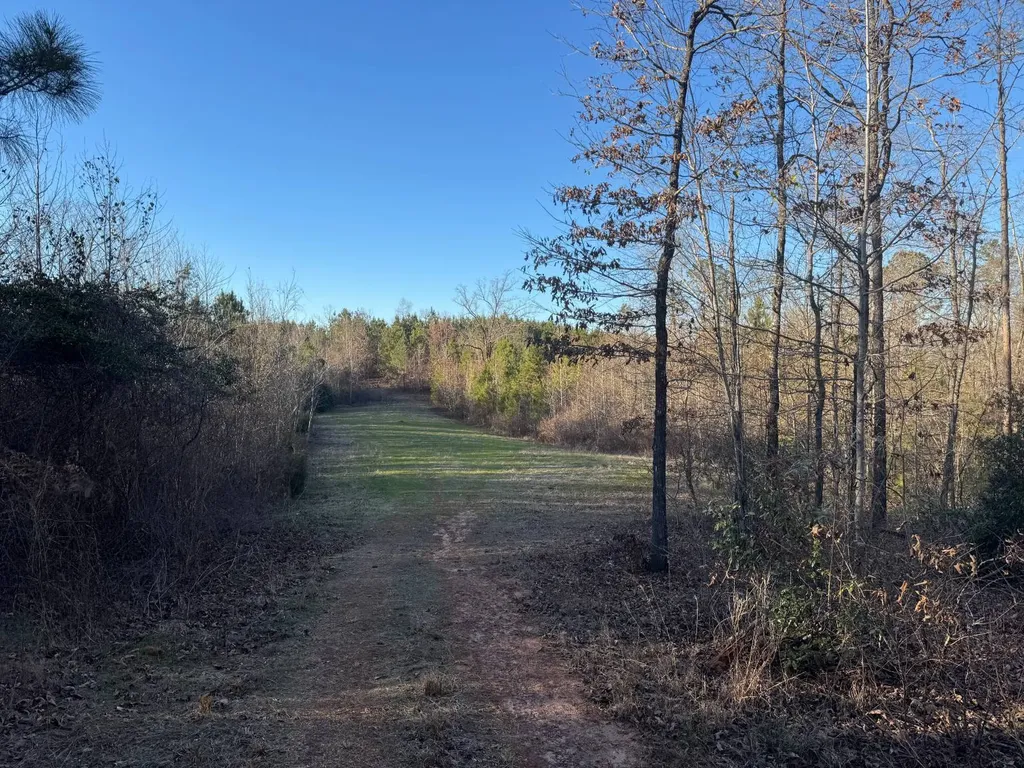 0-A Barrons Bridge Road Dadeville AL 36853