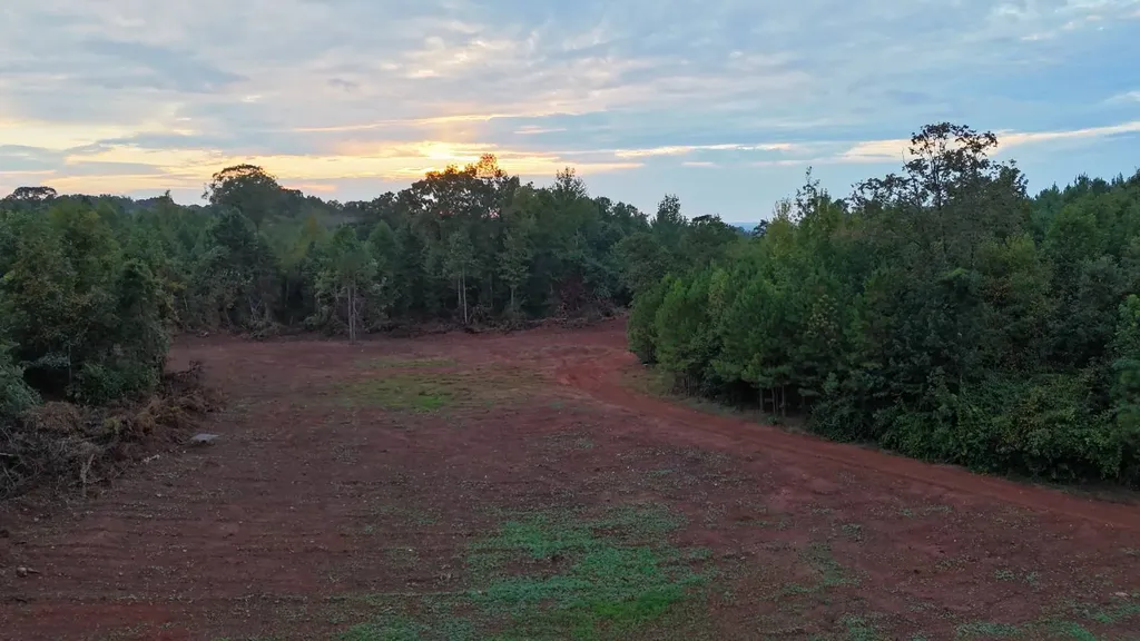 0-A Barrons Bridge Road Dadeville AL 36853