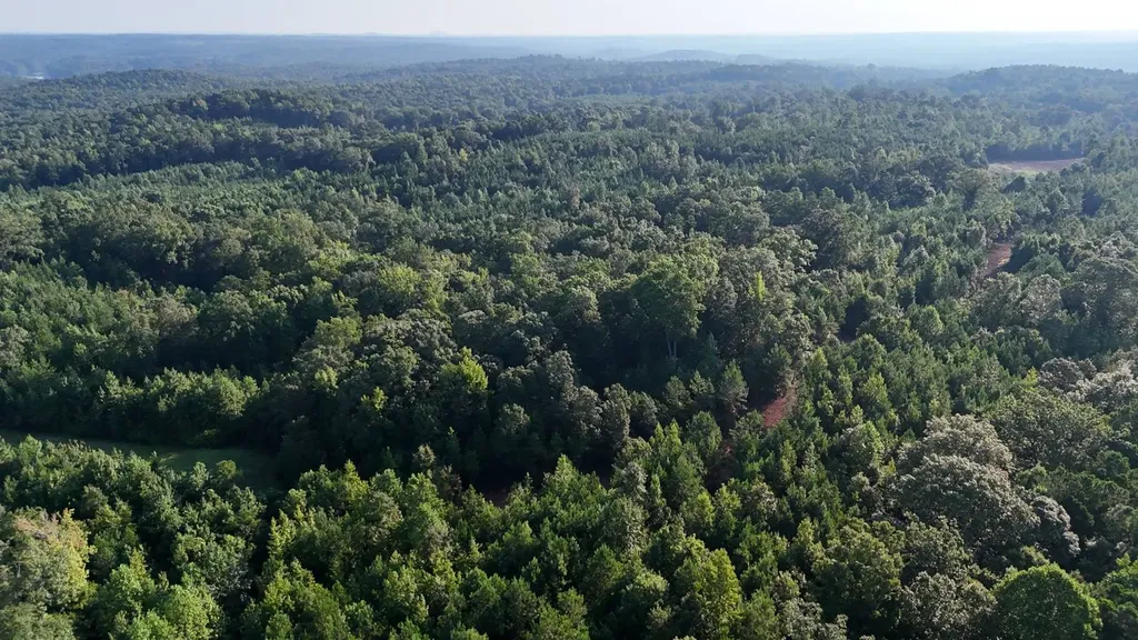 0-A Barrons Bridge Road Dadeville AL 36853