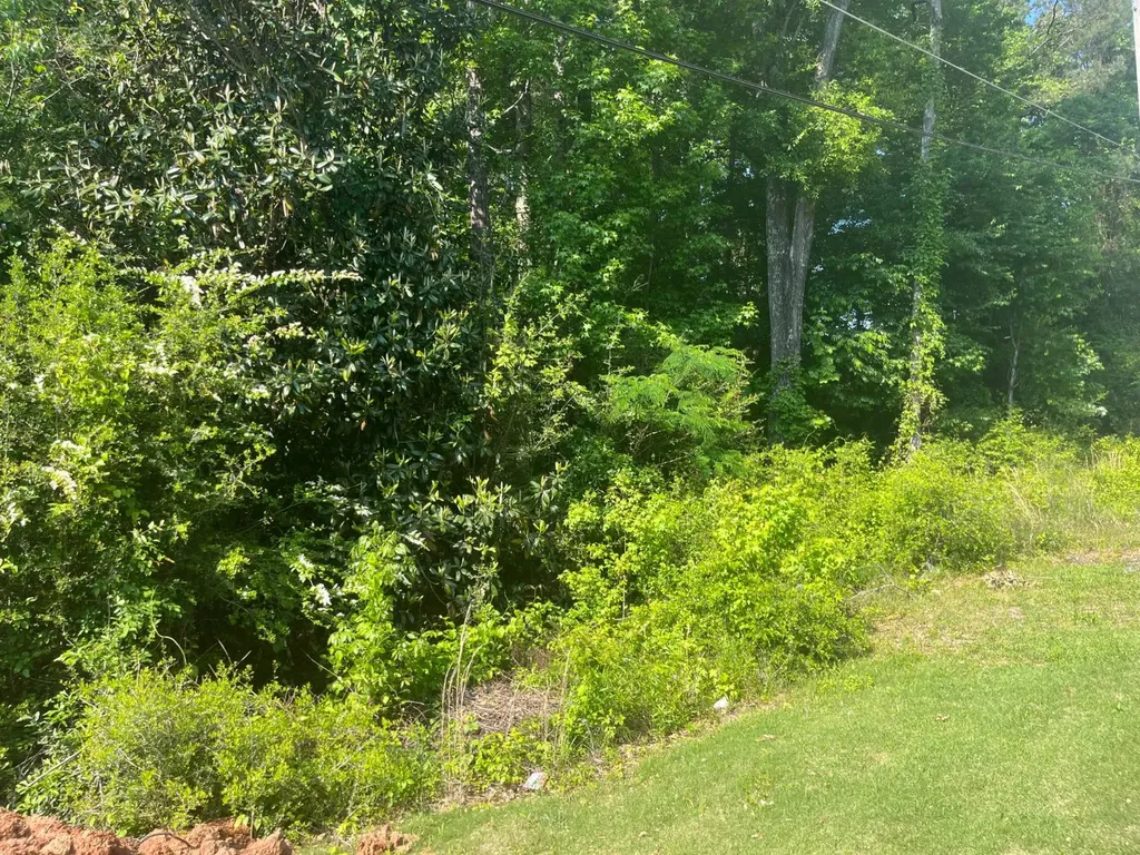 0 Colvert Street Tuskegee AL 36088