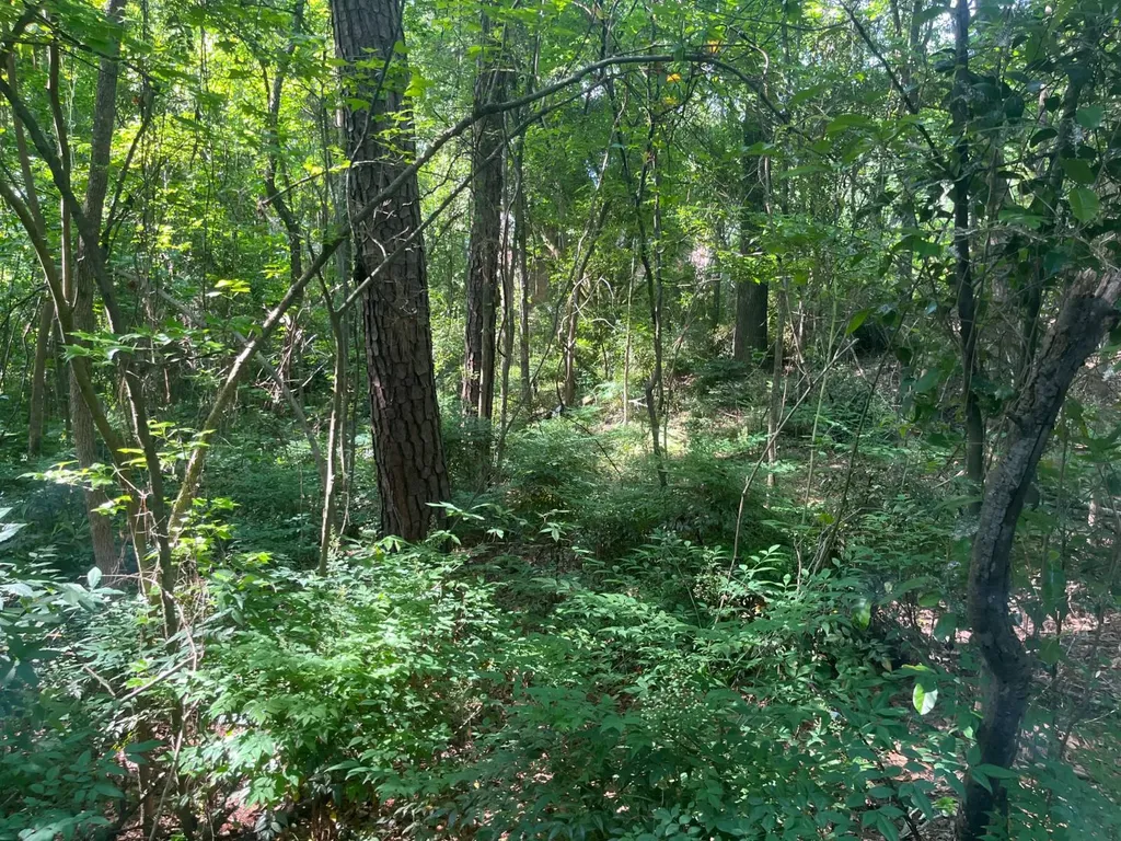 0 Colvert Street Tuskegee AL 36088