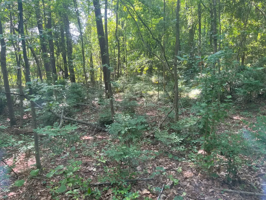 0 Colvert Street Tuskegee AL 36088