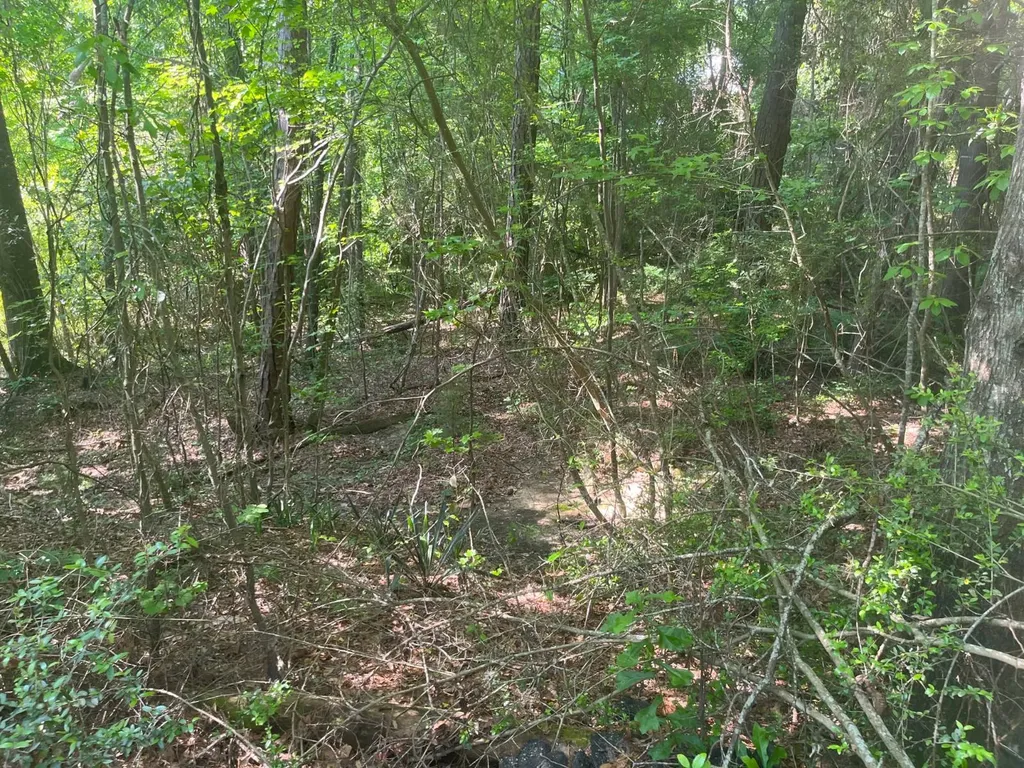 0 Colvert Street Tuskegee AL 36088