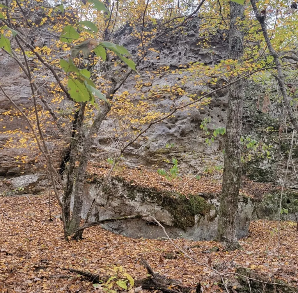 8821 Serene Drive Mccalla AL 35111