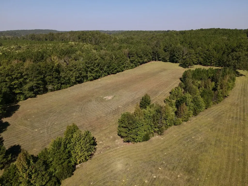 8821 Serene Drive Mccalla AL 35111