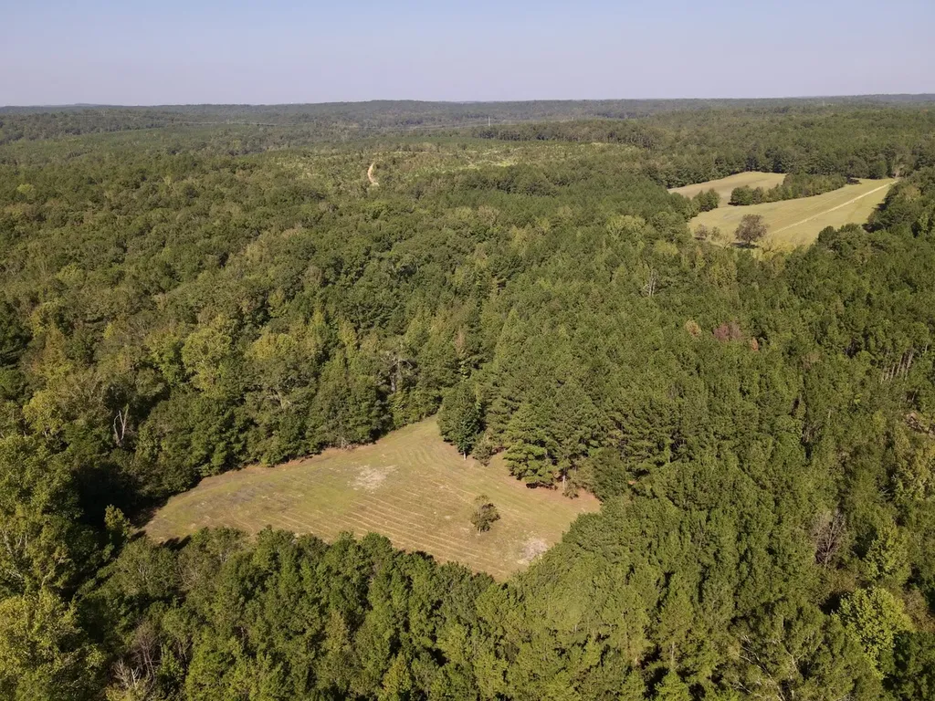 8821 Serene Drive Mccalla AL 35111