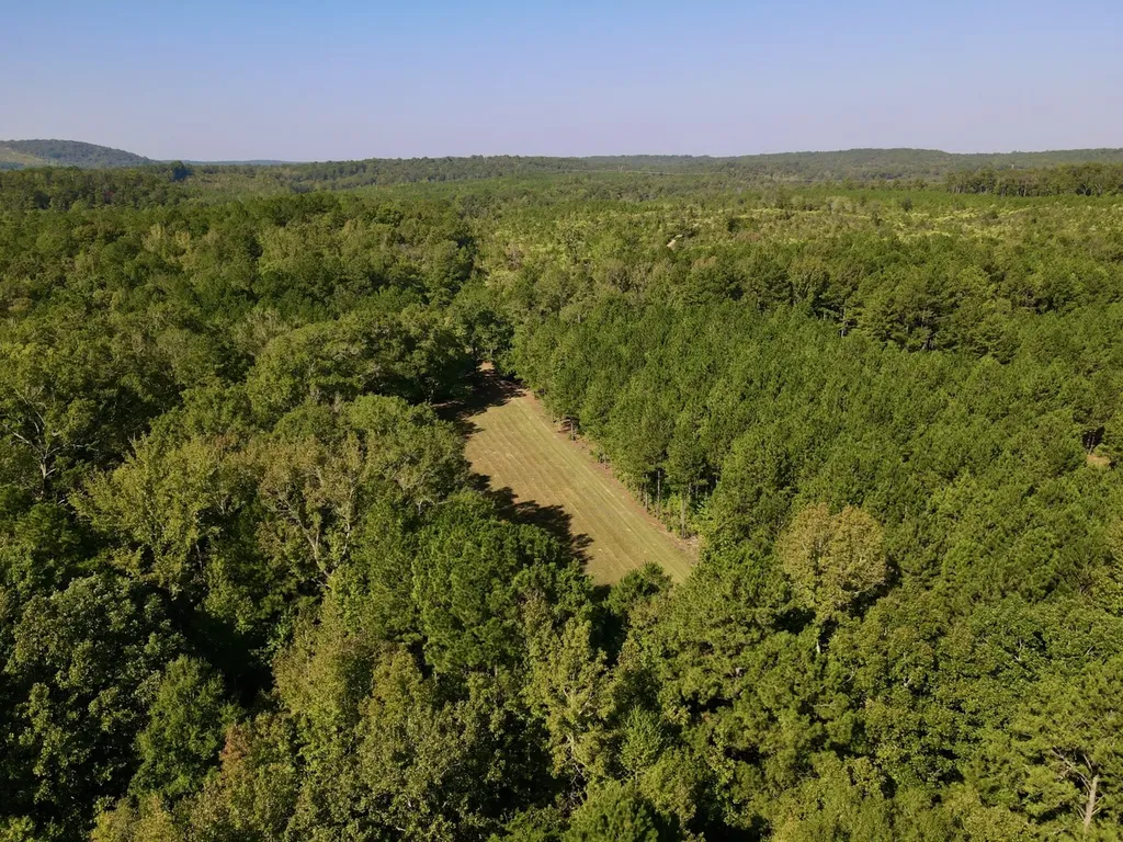 8821 Serene Drive Mccalla AL 35111