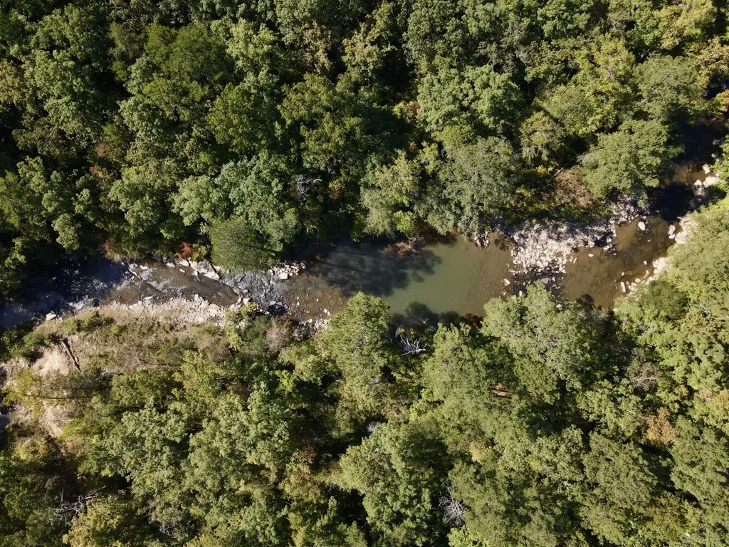 8821 Serene Drive Mccalla AL 35111