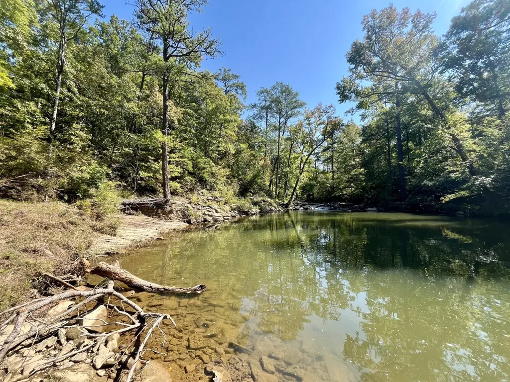 8821 Serene Drive Mccalla AL 35111