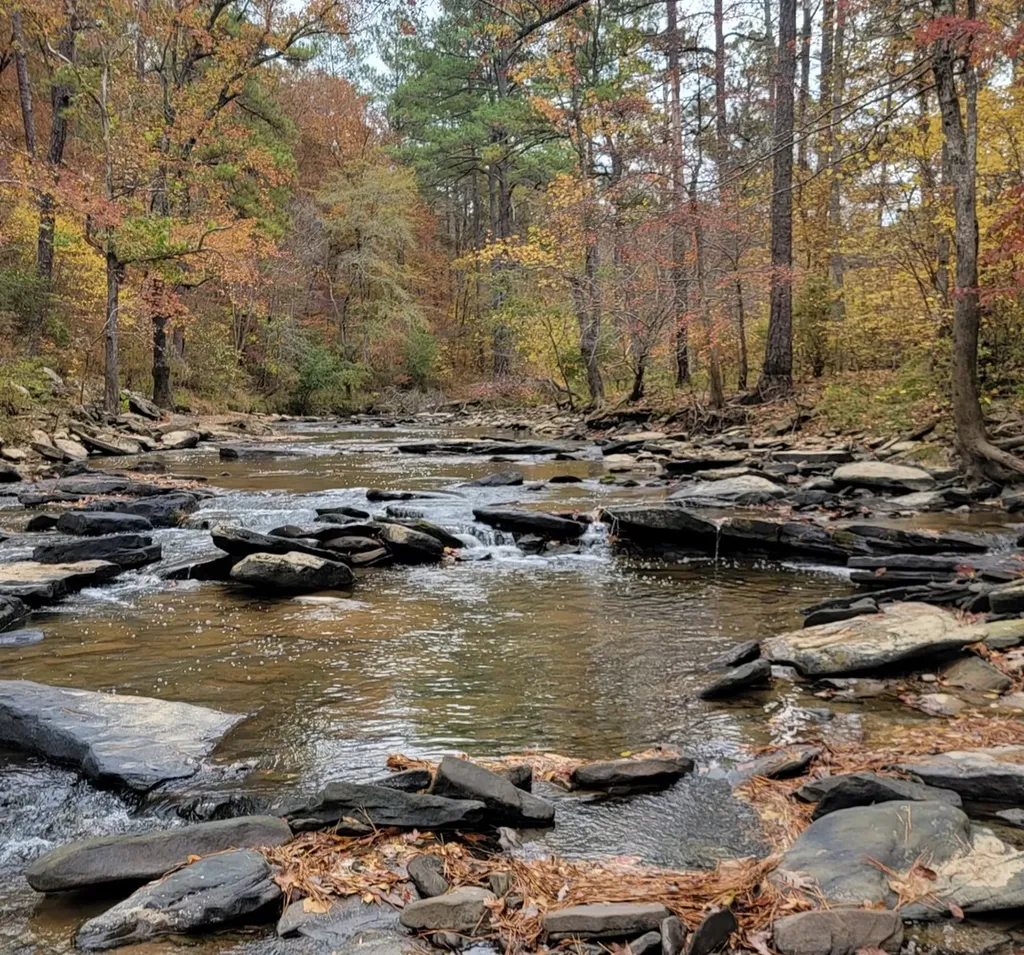 8821 Serene Drive Mccalla AL 35111