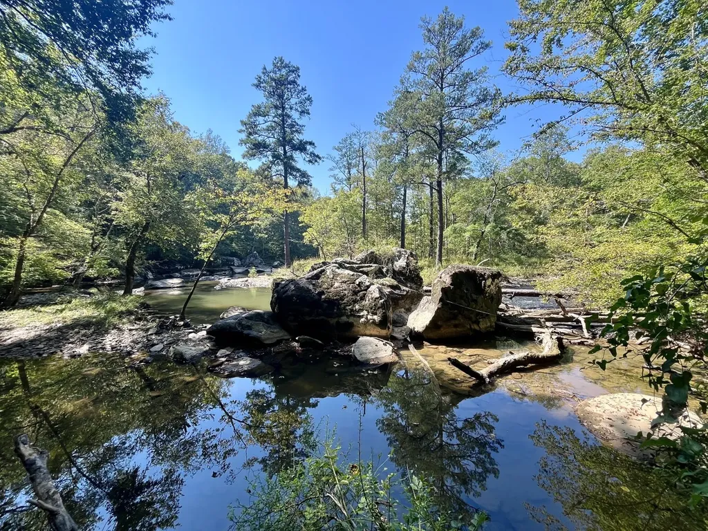 8821 Serene Drive Mccalla AL 35111