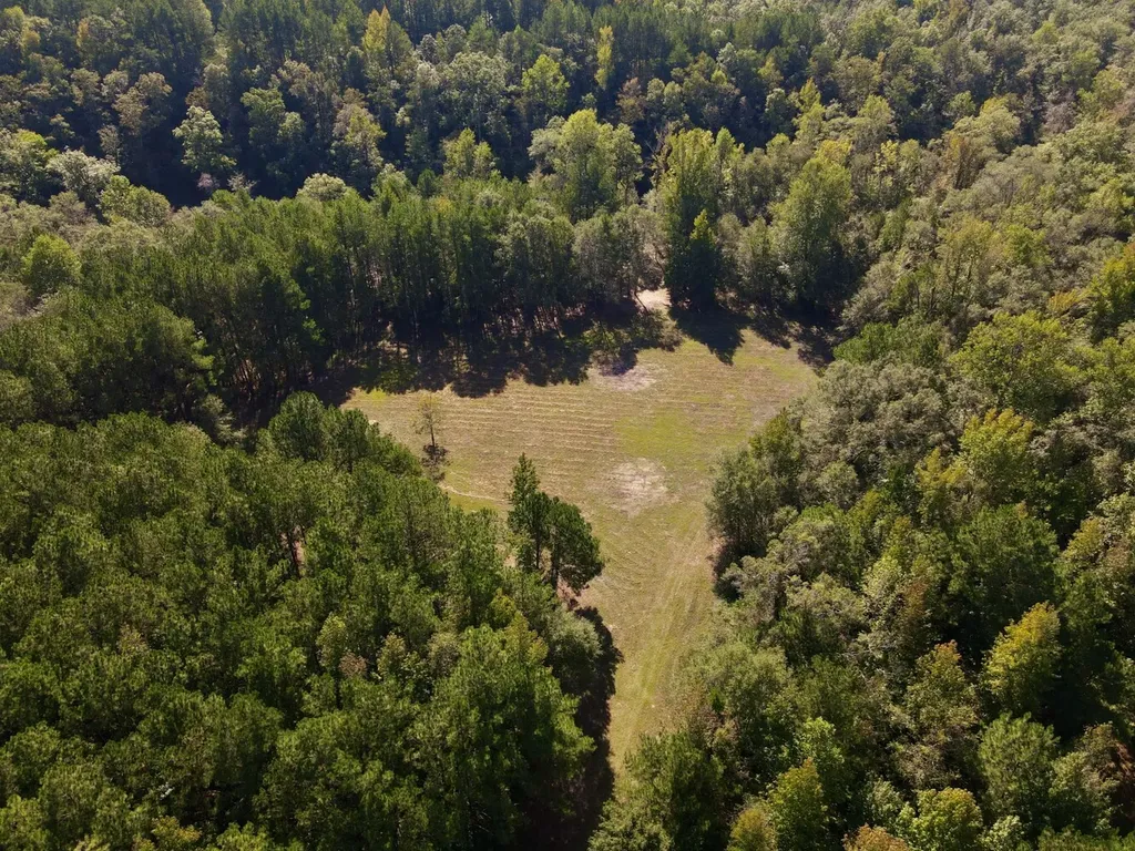 8821 Serene Drive Mccalla AL 35111