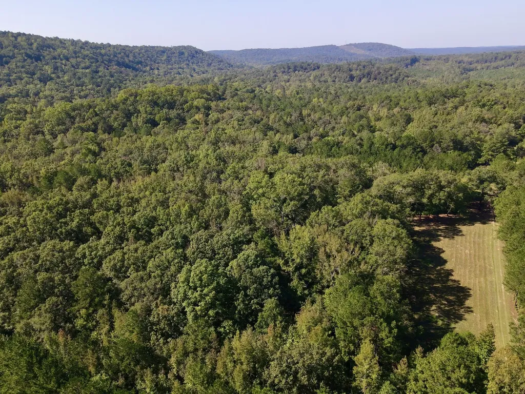 8821 Serene Drive Mccalla AL 35111