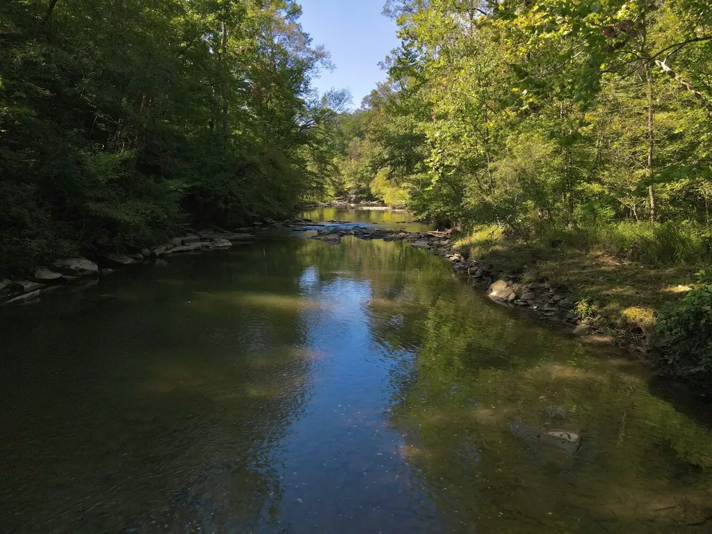 8821 Serene Drive Mccalla AL 35111