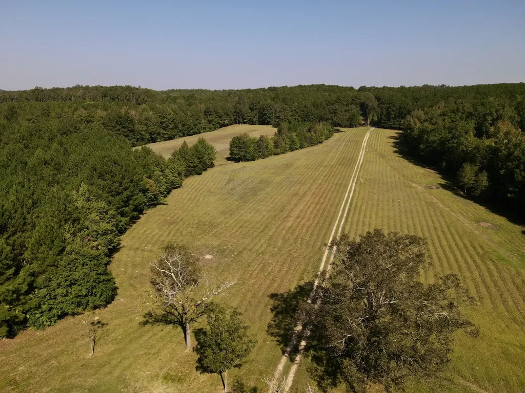 8821 Serene Drive Mccalla AL 35111